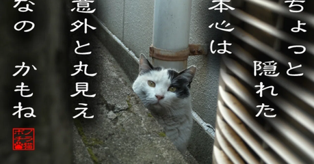 認知症の人こそ「お見通し」です