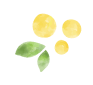 水彩画風の黄色い果実と緑の葉のイラスト