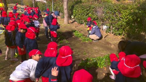 幼稚園児が野菜を植えている様子 １２月【年中】今週の様子 子供たちが土を耕しています