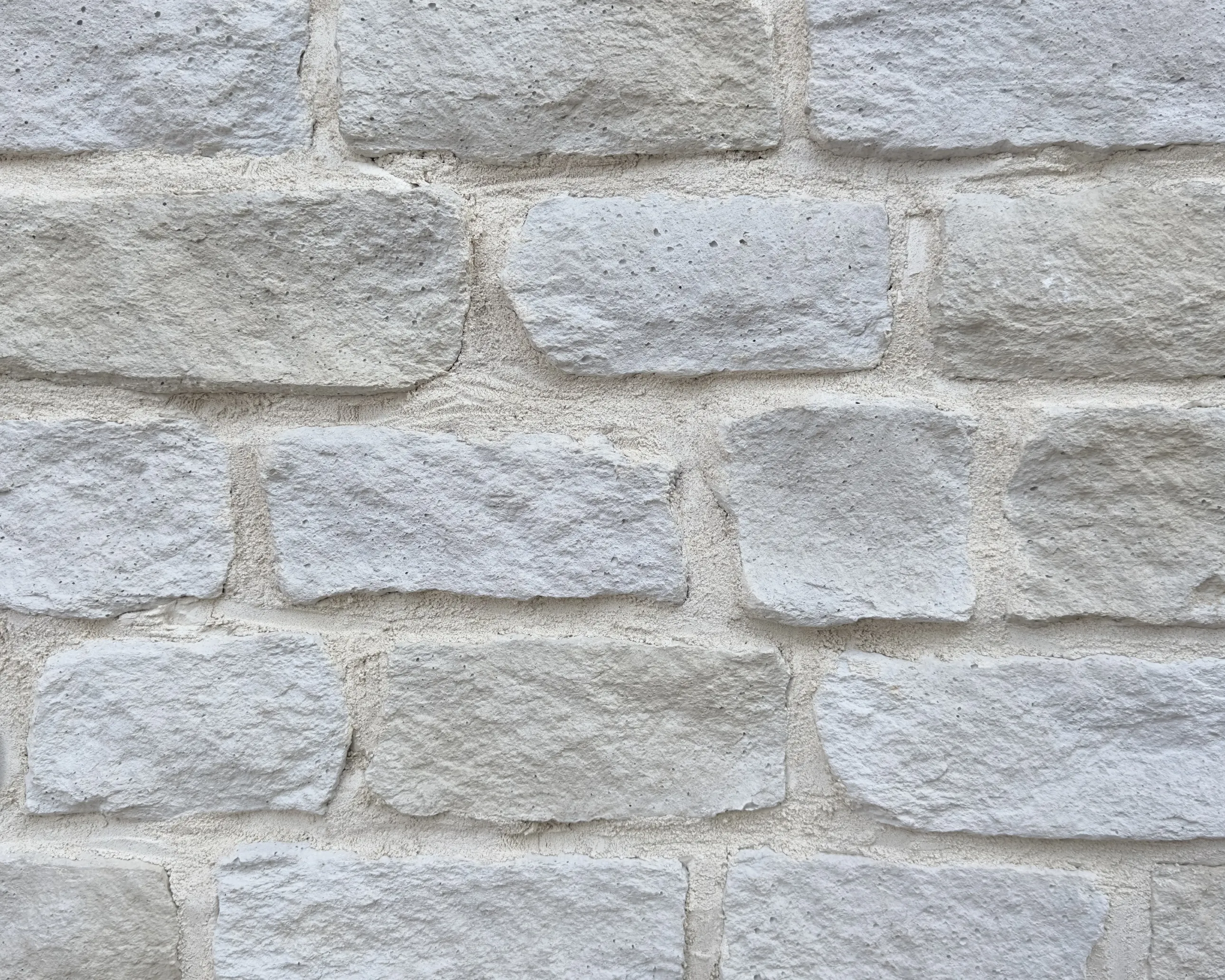 専用　ロマーノ　20個 6b1f00_a8a385e8e073430db25125a