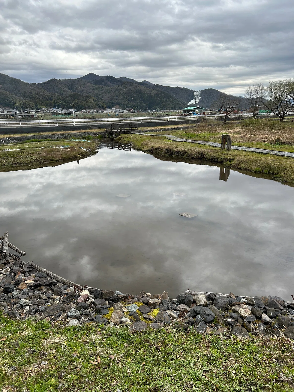 近所の池