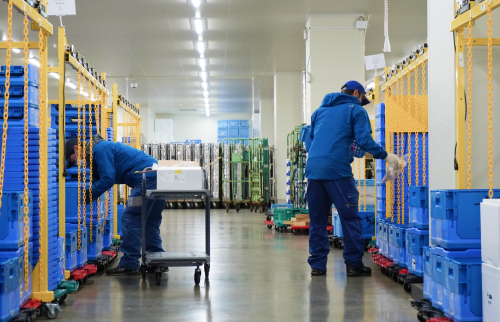 デジタルピッキングシステム導入事例