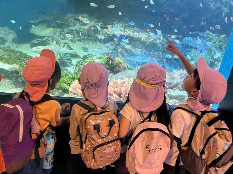 子供たちが水族館で魚を見ている様子