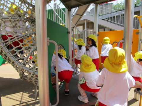 園児たちが遊具で遊ぶ様子。白いシャツと赤いズボン、黄色い帽子 年長組　参観日。