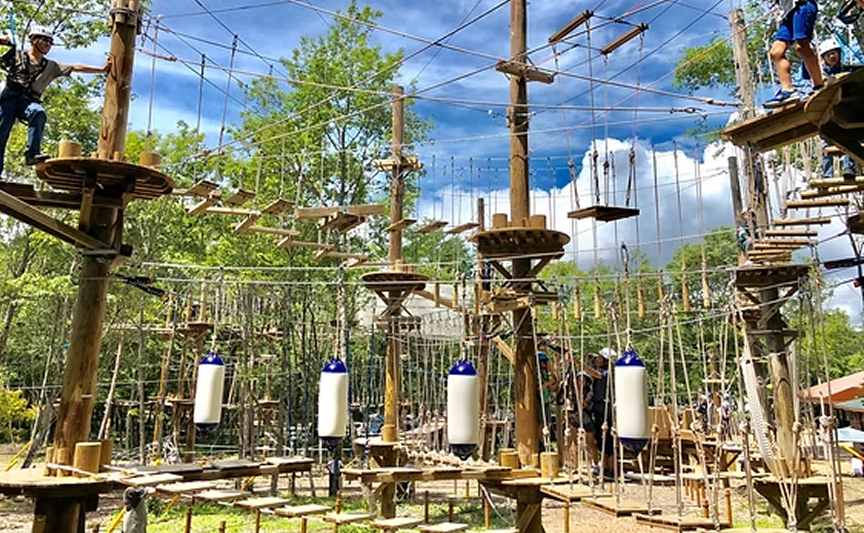 森林の中でアスレチックを楽しむ人々と木製の空中遊具