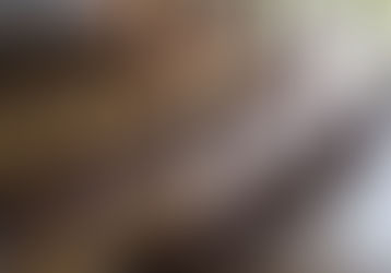 5月【年長】今週の様子