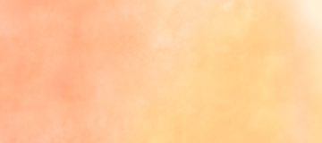 orange 1.png