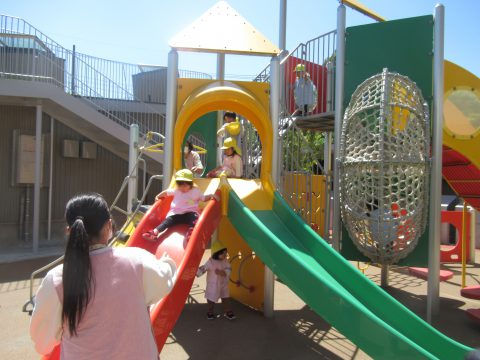 園児たちが遊具で遊ぶ様子 全学年　自然観察公園にて・・・ 楽しそうな笑顔と明るい雰囲気