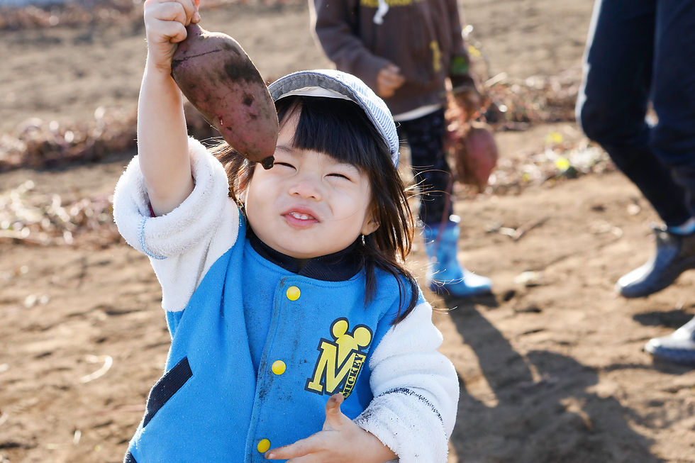 2歳児 10月 さつま芋掘り.jpg