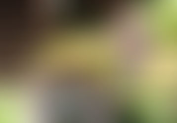 9月【年少々】今週の様子