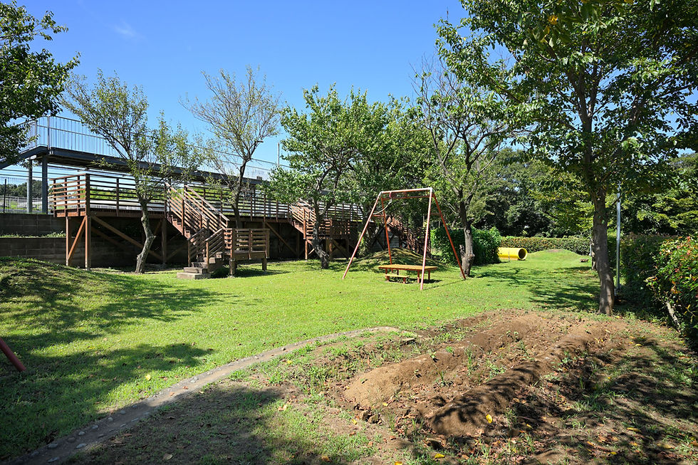公園の遊具と緑豊かな芝生。ブランコ、木製の遊具、そして青い空が特徴です。