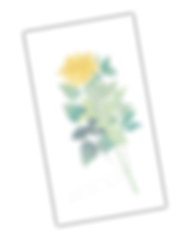 FujiyamaClarinet Studio