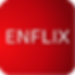 enflix logo