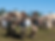 Screenshot-2025-03-07-152520.png