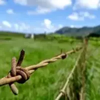 פינוי שטחים חקלאיים