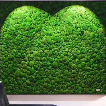 קירות ירוקים