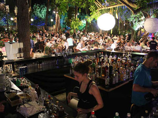 המקום והאווירה - גן החורשה