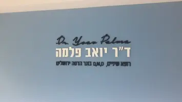 שלט פנימי