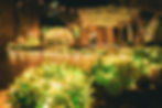 DSCF2029.jpg