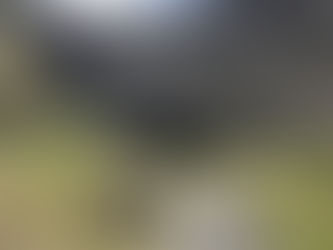 Whatipu Caves - 20 Minute Walk from Omanawanui Track Carpark - Waitakere Ranges