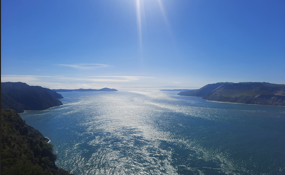 Omanawanui Track - A Must Do Waitakere Ranges Walk