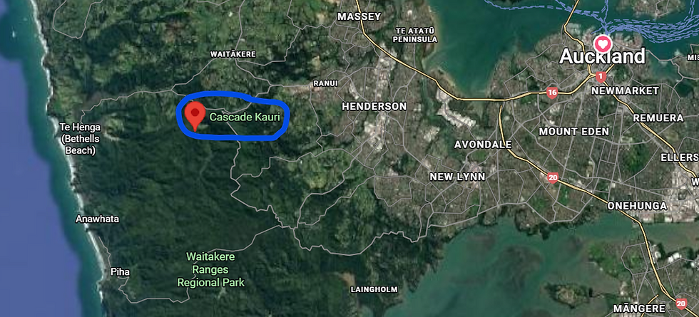 A 40 minute drive from Auckland CBD