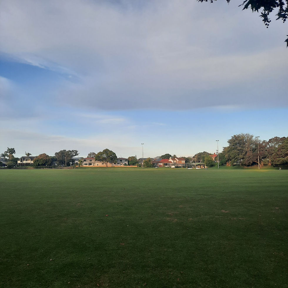 The beautiful cricket grounds