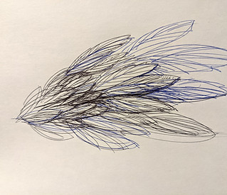 estedfeld_feathers.jpg