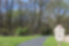 NATURE-TRAIL.jpg