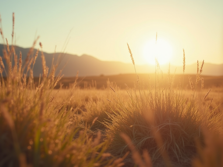 Unlocking Potential: Why Veterans Are Your Ideal Business Successors