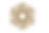 Flower Logo Trasparent No Logo.png
