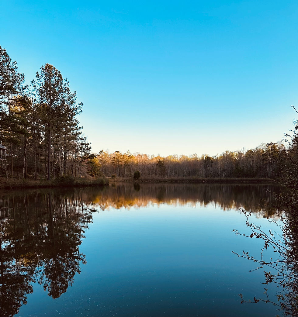 Georgia Department of Natural Resources