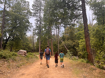 People walking in a forest on a hike