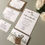 Thumbnail: White Rose Floral Belly Band Day Invitation