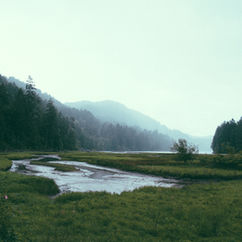 landscape art competition