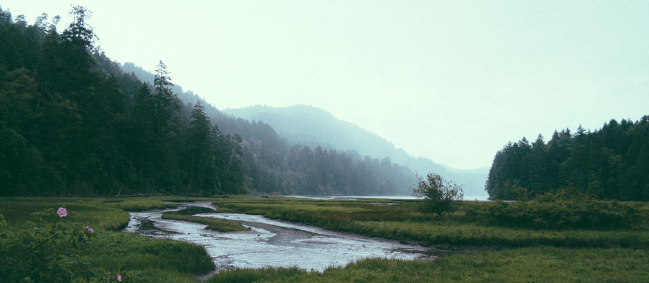What Does It Mean to Fear Dying and Death?