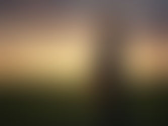 ⚓ Porter la Mémoire, Soutenir la Vie : Un geste pour nos Héros 🇫🇷