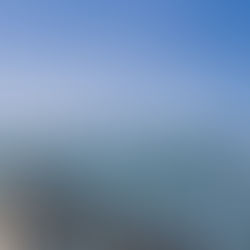 3 Keunggulan Utama Baja Ringan Dibandingkan Kayu Untuk Atap Rumah