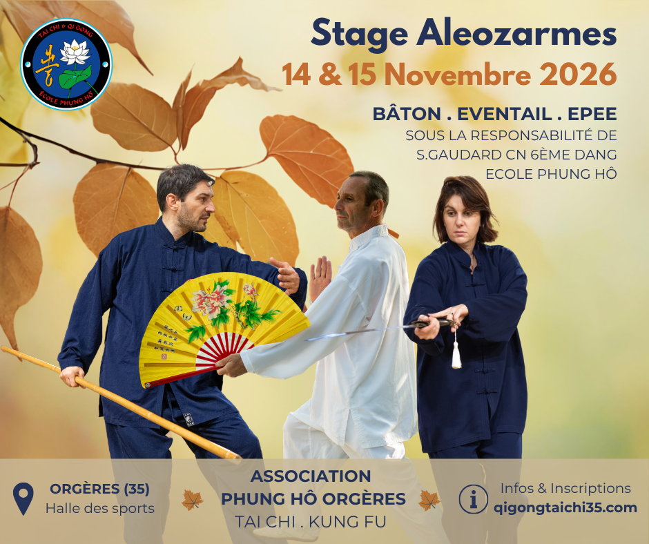 Stage ALEOZARMES - Stage dédié à la pratique des armes