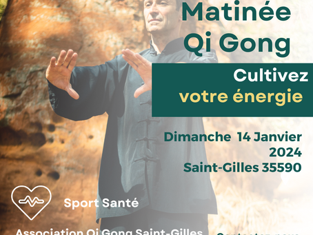 Matinée Qi Gong Saint-Gilles 14 janvier 2024.