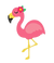 Pink tropicool_edited.png