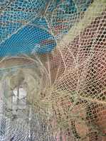 IMG_20201025_160905.jpeg