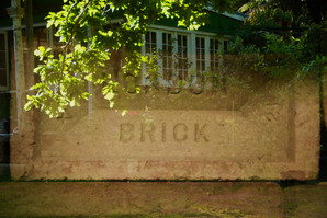 DSC_1137.jpeg