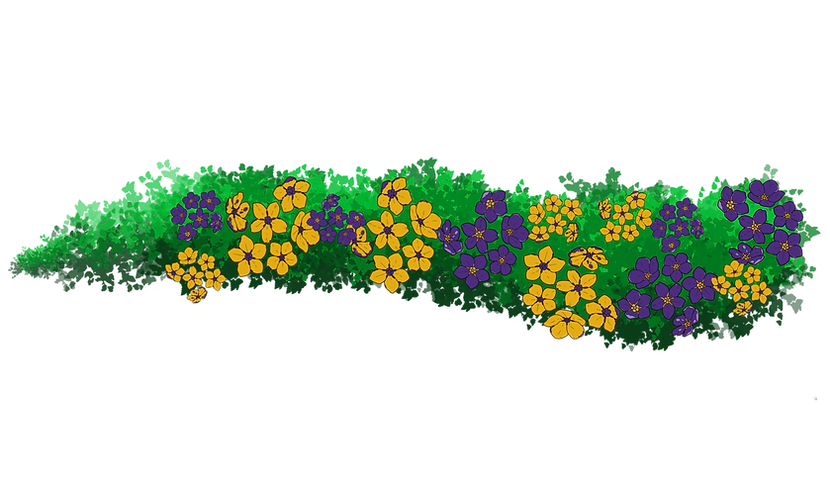 horizontal vine borders_edited.png