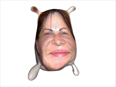 Sac de patate