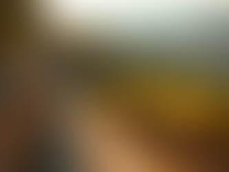 Discover Spain's Hidden Wine Regions and Gastronomic Gems in the Off-Peak Season