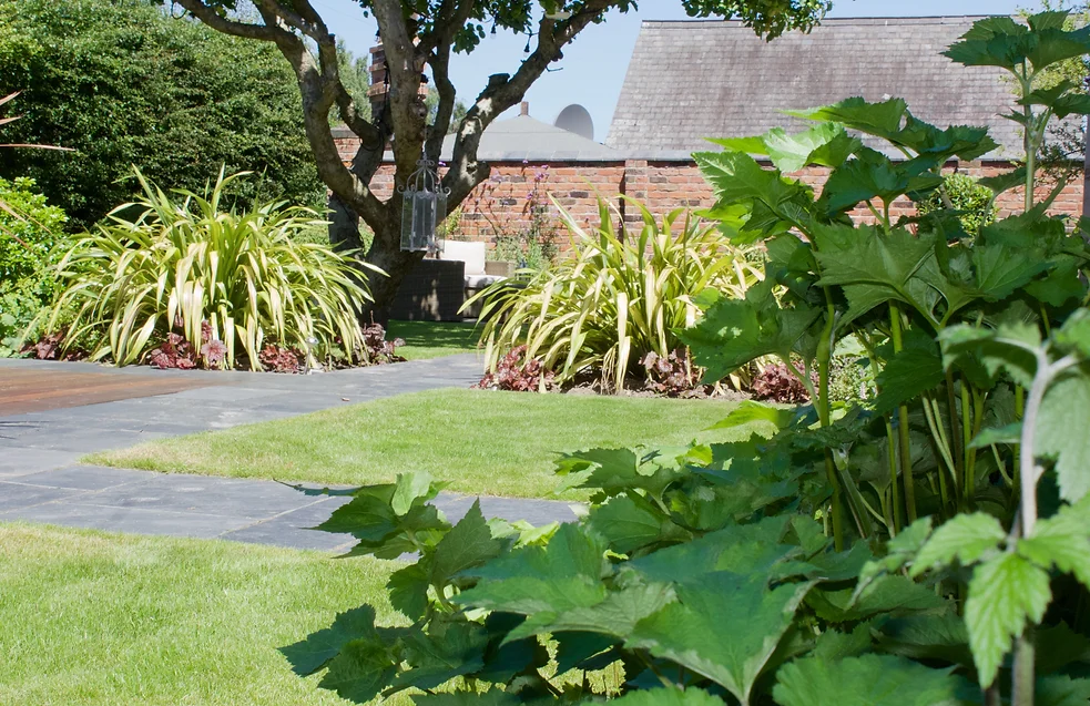 Back garden