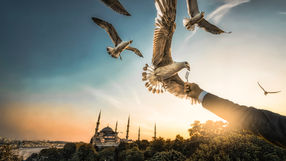 Discover why we love differences!