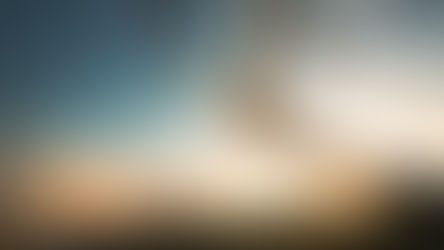 Discover why we love differences!