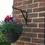 Thumbnail: Hanging basket bracket